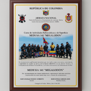 placa curso militar