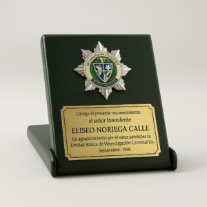 placa inteligencia sencilla