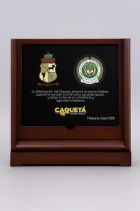 placa reconocimiento