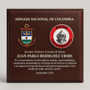 placa armada colombia